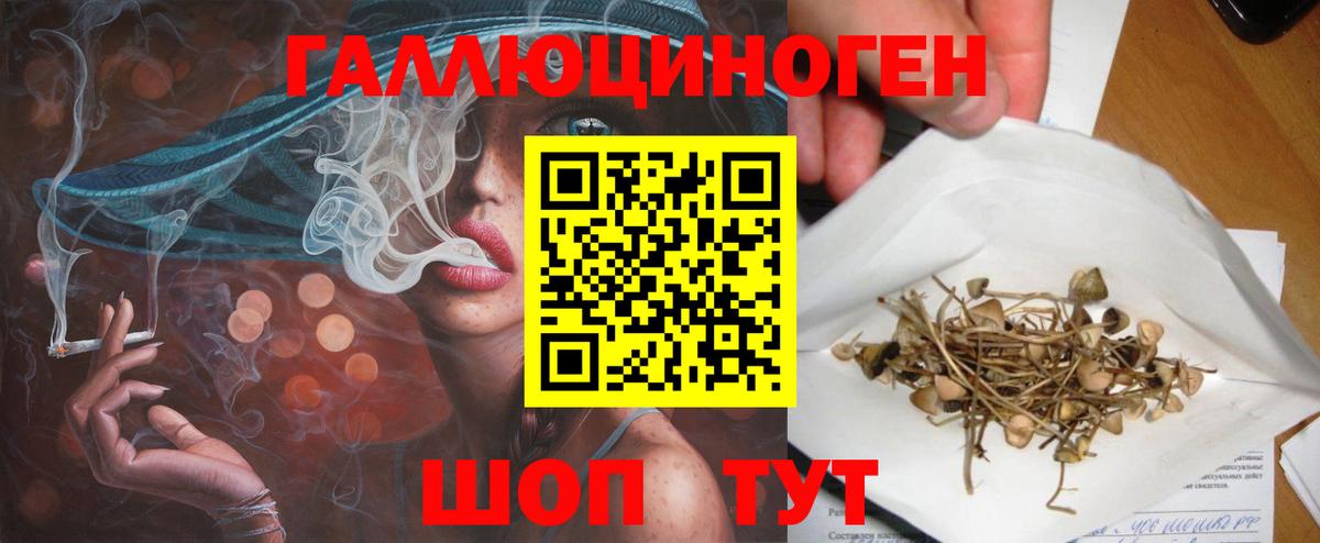 Кизилюрт  Галлюциногенные грибы мицелий  Вход с VPN 