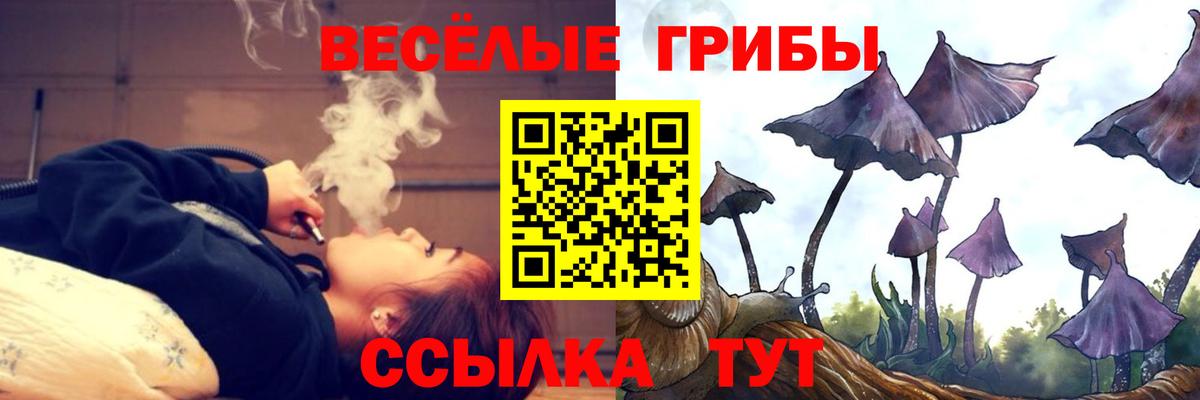 Псилоцибиновые грибы ЛСД Кизилюрт